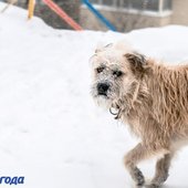 В Приморье сохранится холодная, ветреная погода