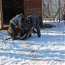 Зоопарк «Садгород» ищет невесту для ламы Фёдора