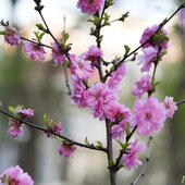 Последние выходные весны в Приморье будут жаркими