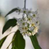 Последние выходные весны в Приморье будут жаркими