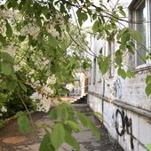Последние выходные весны в Приморье будут жаркими