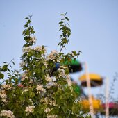 Последние выходные весны в Приморье будут жаркими