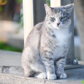 Последние выходные весны в Приморье будут жаркими