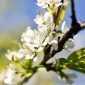 Последние выходные весны в Приморье будут жаркими