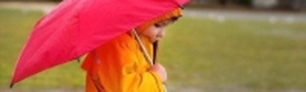 В начале следующей недели в Приморье снова дождливо