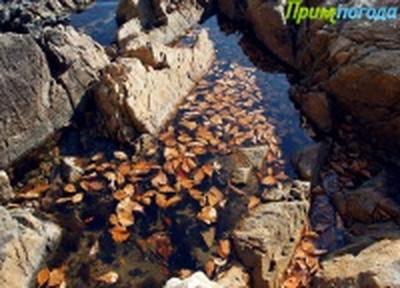 Приморье до снега(ФОТО) Приморье до снега(ФОТО)