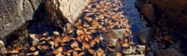 Приморье до снега(ФОТО)