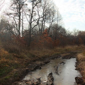 Приморье до снега(ФОТО)
