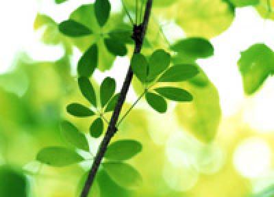 В эти выходные погода подарила Приморью теплые деньки