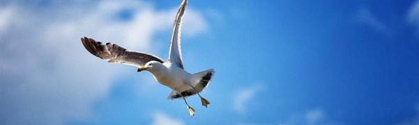 Синоптики рассказали, с какой погоды начнётся лето в Приморье