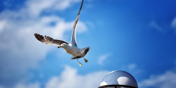 Понедельник во Владивостоке будет солнечным и тёплым