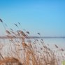 Прогноз на выходные: в Приморье идёт весеннее тепло
