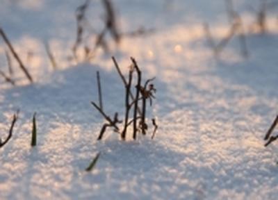 На неделе в Приморье морозы отступили