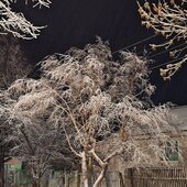 Ноябрь в Сихотэ-Алинском заповеднике – предзимье