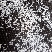 Ноябрь в Сихотэ-Алинском заповеднике – предзимье