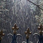 Ноябрь в Сихотэ-Алинском заповеднике – предзимье