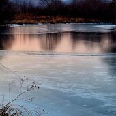 Ноябрь в Сихотэ-Алинском заповеднике – предзимье