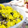 На Пасху в Приморье установилась солнечная погода