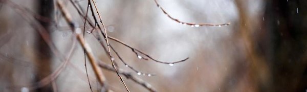 Завтра погода в Приморье ухудшится