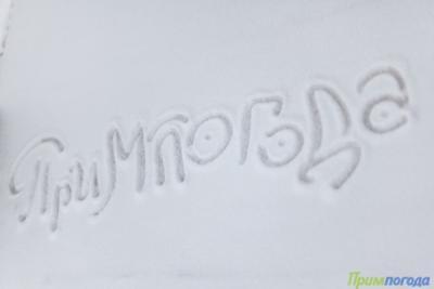 Настоящее волшебство: во Владивостоке выпадет снег перед Новым годом Настоящее волшебство: во Владивостоке выпадет снег перед Новым годом