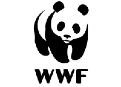 WWF создал свой формат документов