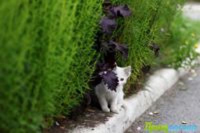 Фронтальные разделы покинули Приморье