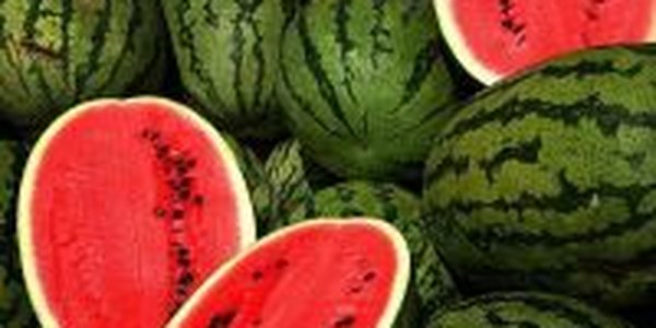 Жара подарила англичанам собственные арбузы и киви 