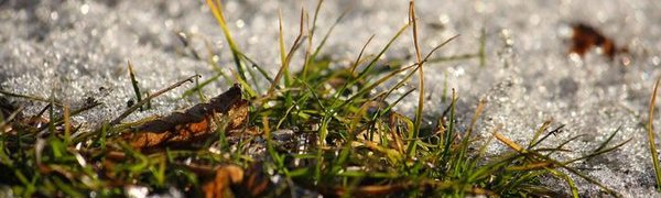 Погода в Приморье на выходных: стало известно, куда ударит циклон