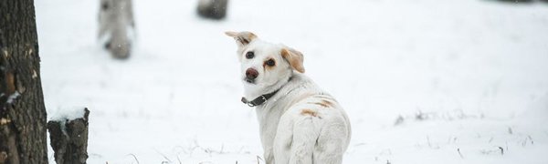 В Приморье сохранится неустойчивый характер погоды