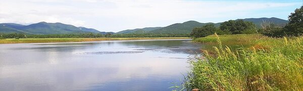 На реках Приморья стабильная ситуация