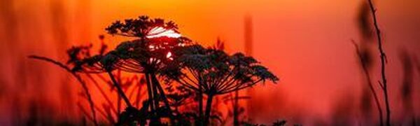 Прогноз погоды на последние выходные июня в Приморье на Примпогоде