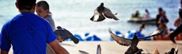 Воздух во Владивостоке прогреется до + 22°С во вторник