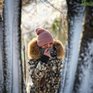 МЧС предупредило об опасности циклона на Дальнем Востоке