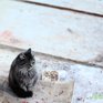 В Приморье сохраняется морозная погода