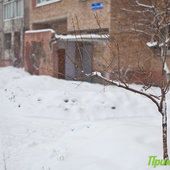 Весенние метели продолжают кружить над Приморьем