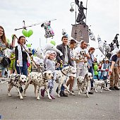 Владивосток отпраздновал День города с Примпогодой