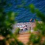 В выходные воздух во Владивостоке прогреется до +23°C
