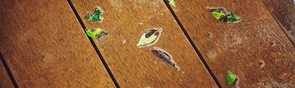 5 и 6 сентября в Приморье пройдут небольшие и умеренные дожди