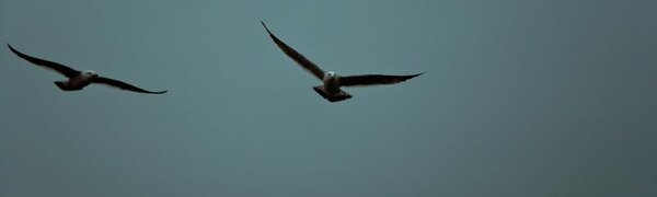 Неустойчивая погода ожидается в Приморье на рабочей неделе