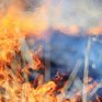 Сухая и ветреная погода может повысить угрозу пожаров в Приморье