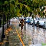 Циклон принес в Приморье до двух декадных норм дождя и первый снег
