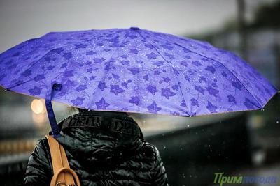 В выходные в Приморье будет холодно и ненастно