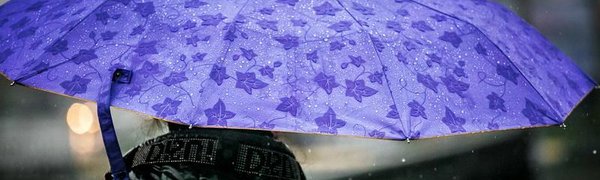 Во вторник местами в Приморье будет дождливо