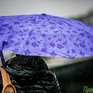 В выходные в Приморье будет холодно и ненастно