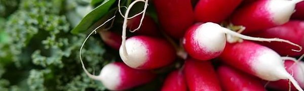 12 и 13 мая во Владивостоке пройдёт общегородская продуктовая ярмарка