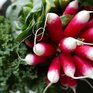 12 и 13 мая во Владивостоке пройдёт общегородская продуктовая ярмарка