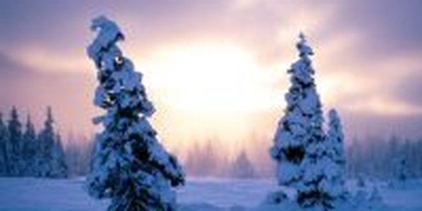 В Приморье морозы перевалили за 40°С