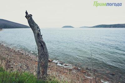 В пятницу погода в Приморье начнет ухудшаться