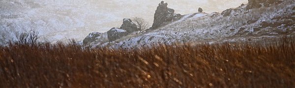 К концу недели морозы в Приморье ослабнут