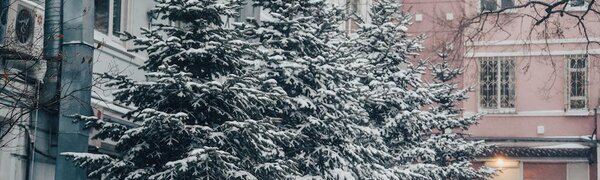 Во вторник в Приморье выпало до 5 мм снега (ФОТО)